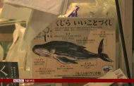 While Japanese Politicians want to resume Whaling, young generation don’t want to eat Whale Sushi anymore.