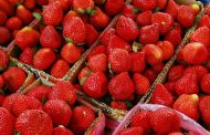 Woman charged in Australian strawberry needle contamination