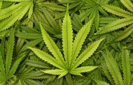 New Jersey Marijuana Legalization Heading to Final Vote by Lawmakers