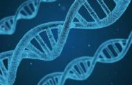 Death will be 'optional' and ageing 'curable' by 2045, say genetic engineers