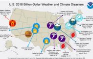 Earth just experienced one of the warmest years on record
