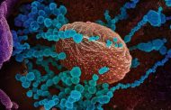 Over 80% of people with coronavirus didn’t have key symptoms, UK study finds