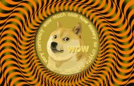 Dogecoin spikes 400% in a week, stoking fears of a cryptocurrency bubble
