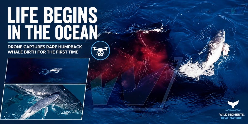A Once-in-a-Lifetime Moment Unfolds Above the Pacific