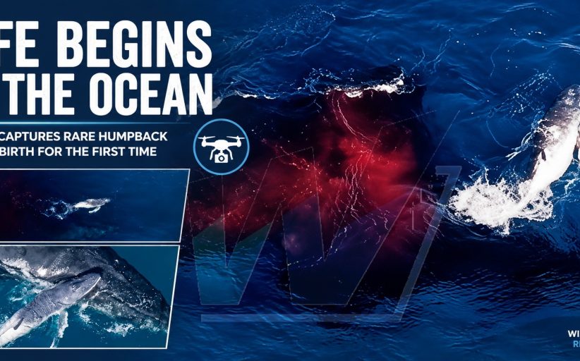 A Once-in-a-Lifetime Moment Unfolds Above the Pacific